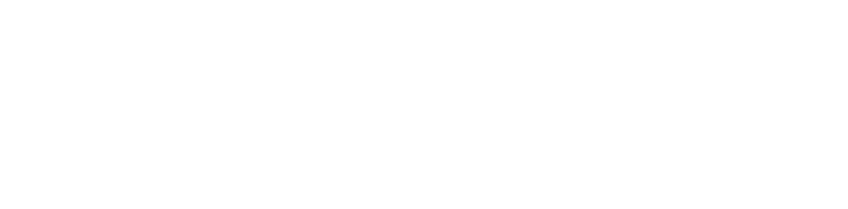 logo eufoton white